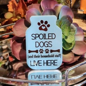 Kitchen Magnets  Pick One Lemons Tequila Need A Drink Dogs Big Dill